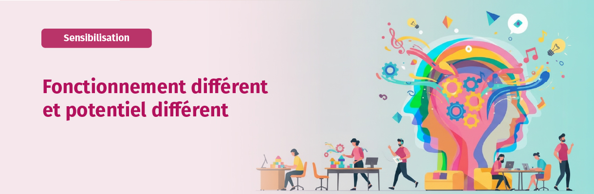 Lire la suite à propos de l’article Fonctionnement différent et potentiel différent