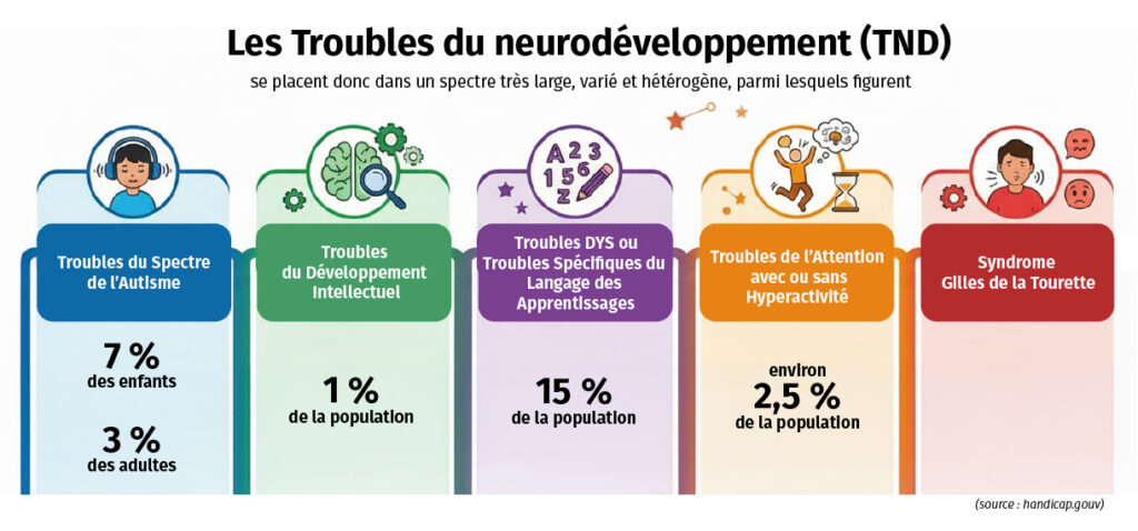 Les Troubles du neurodéveloppement (TND) se placent donc dans un spectre très large, varié et hétérogène
